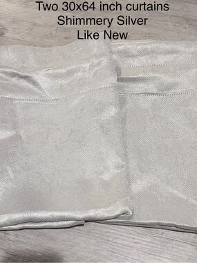 Shimmery Silver Curtain Panels (Set of 2)